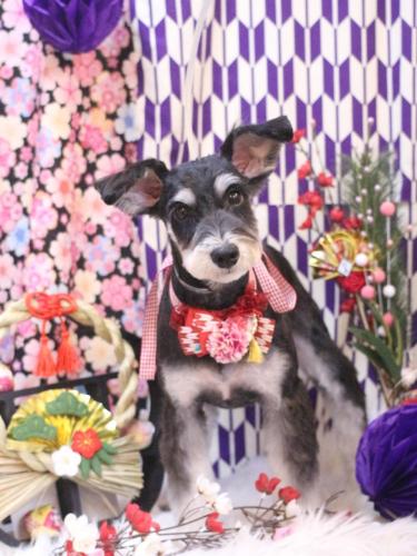 20250125音ちゃん